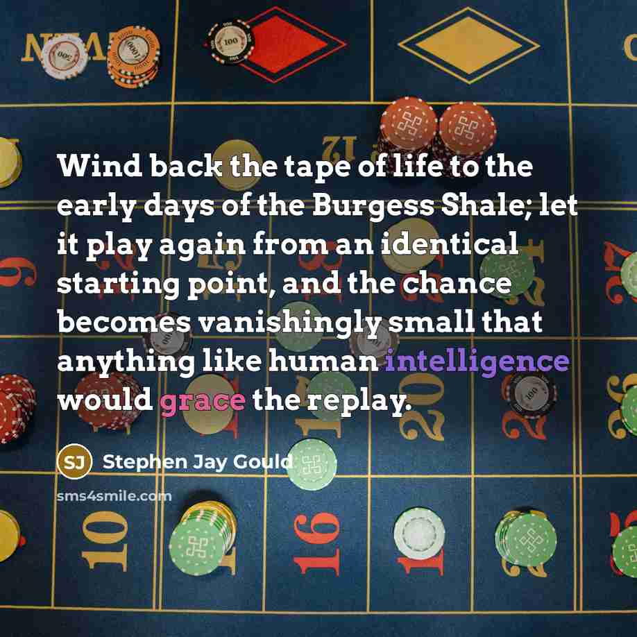 “Wind back the tape of life to the early days…” quote by Stephen Jay Gould