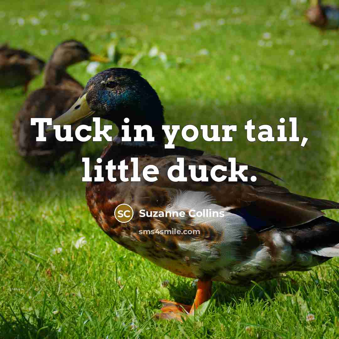 “Tuck in your tail, little duck.…” quote by Suzanne Collins