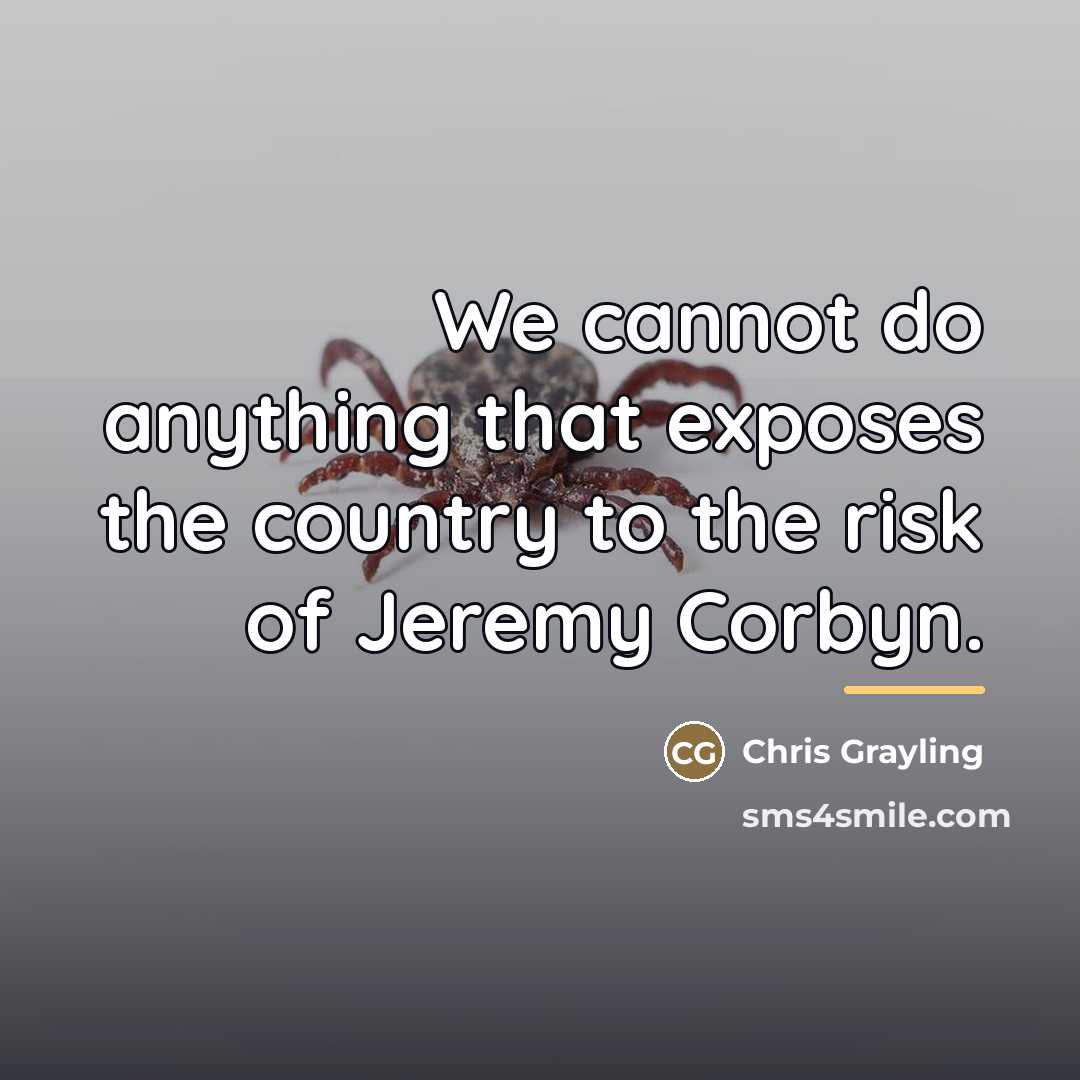 “We cannot do anything that exposes the country to the…” quote by Chris Grayling