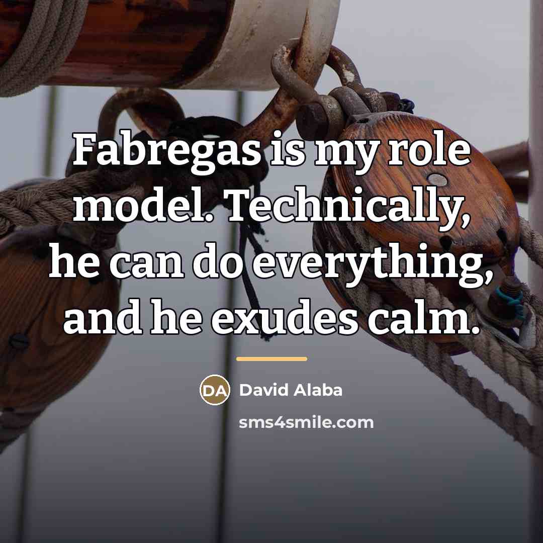 “Fabregas is my role model. Technically, he can do everything,…” quote by David Alaba
