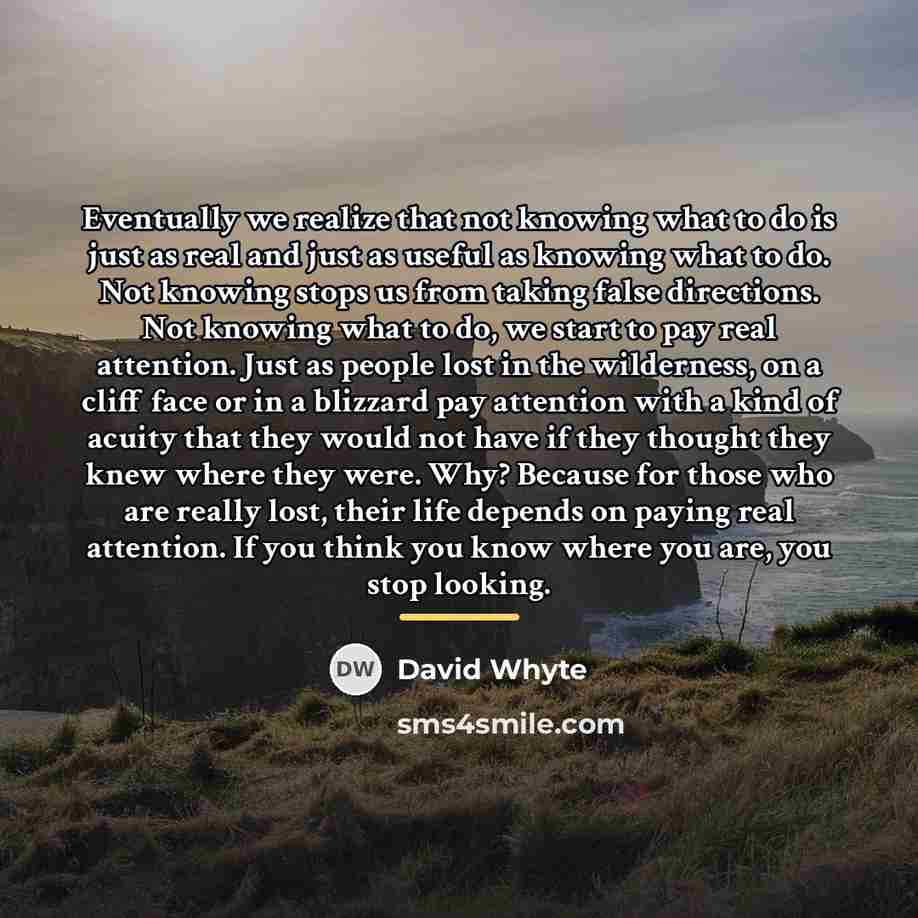 “Eventually we realize that not knowing what to do is…” quote by David Whyte