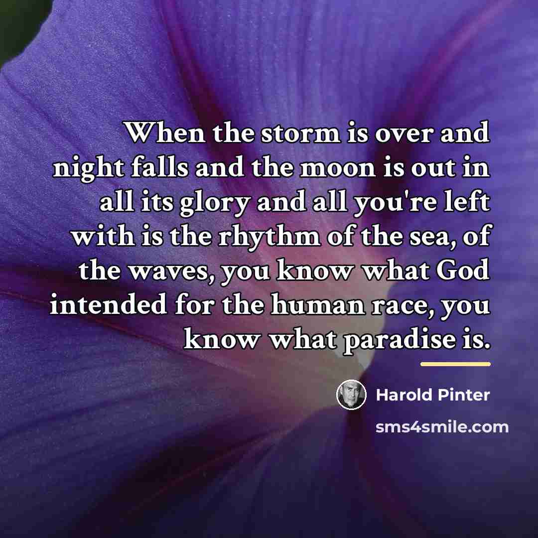 “When the storm is over and night falls and the…” quote by Harold Pinter