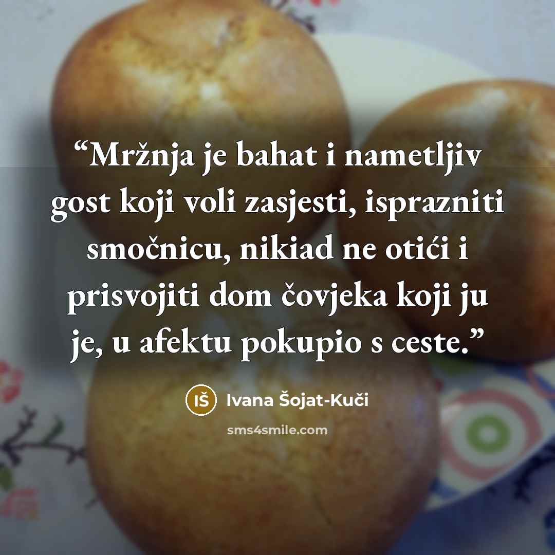“Mržnja je bahat i nametljiv gost koji voli zasjesti, isprazniti smočnicu, nikiad ne otići i prisvojiti dom čovjeka koji ju je, u afektu pokupio s ceste.” quote by Ivana Šojat-Kuči