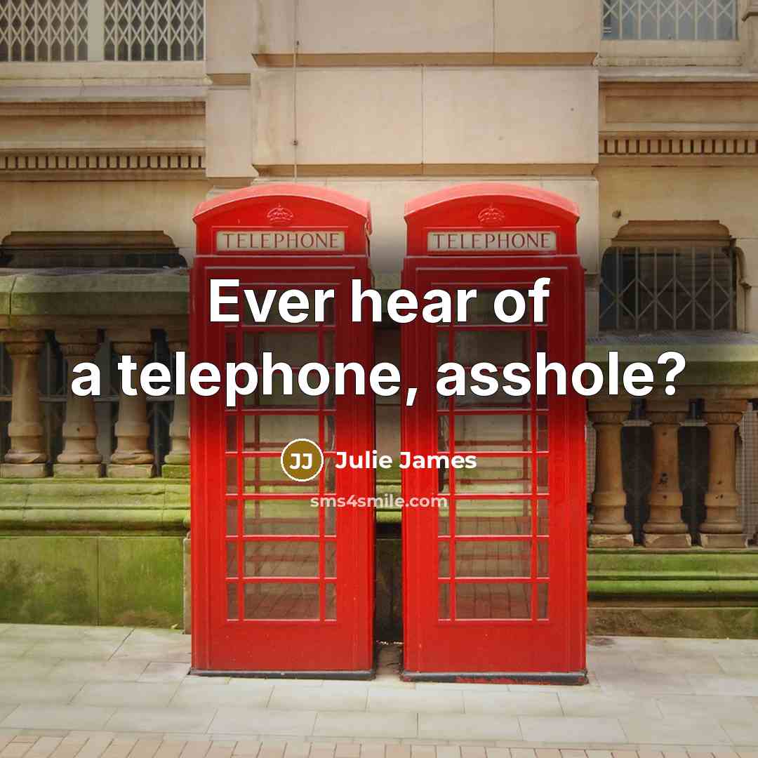 “Ever hear of a telephone, asshole?…” quote by Julie James