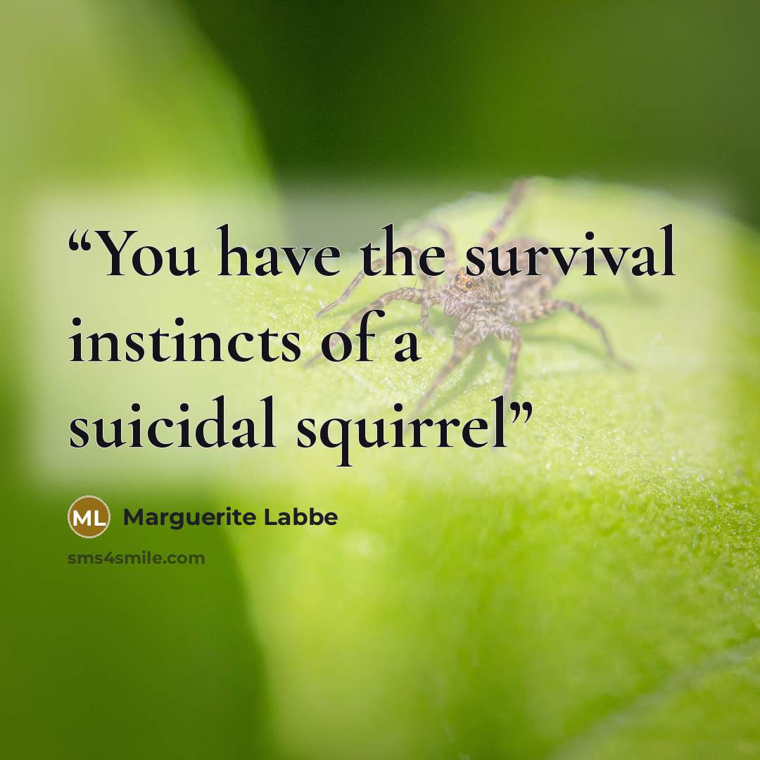 “You have the survival instincts of a suicidal squirrel” quote by Marguerite Labbe