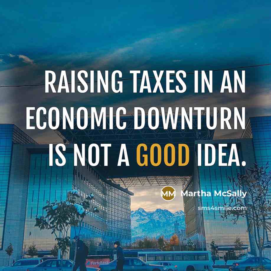 “Raising taxes in an economic downturn is not a good…” quote by Martha McSally