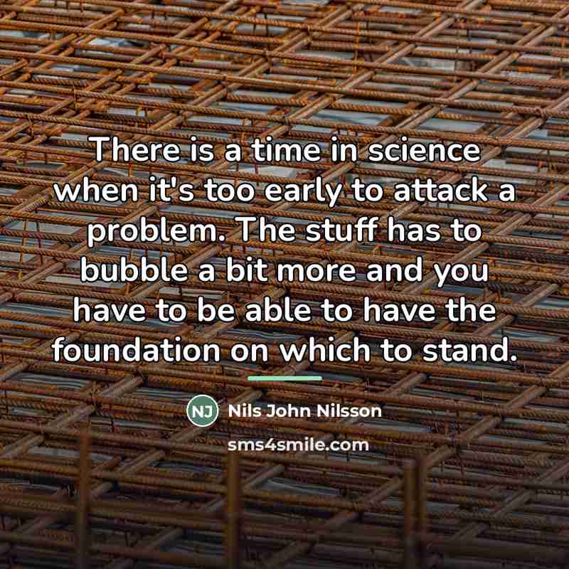 “There is a time in science when it's too early…” quote by Nils John Nilsson