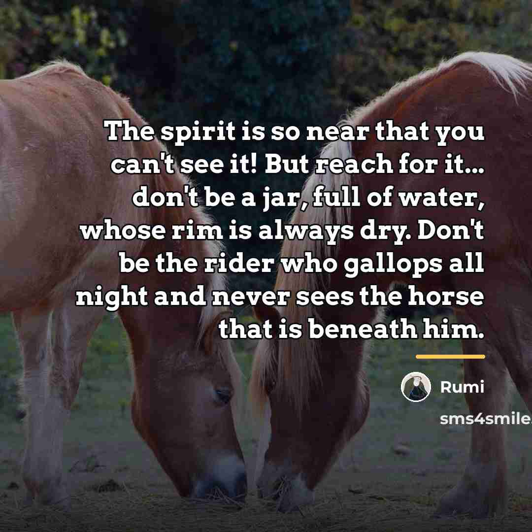 “The spirit is so near that you can't see it!…” quote by Rumi