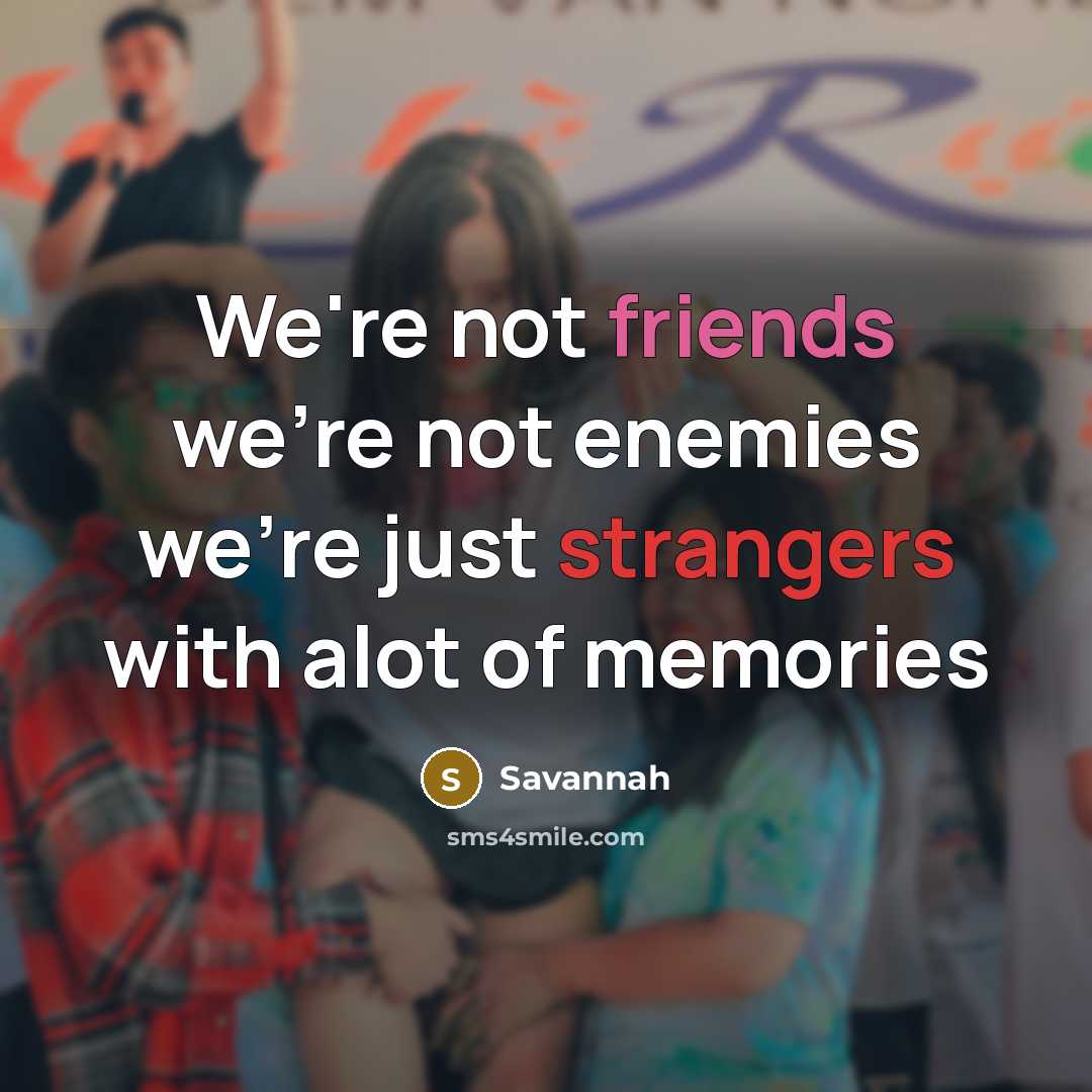 “We're not friends we're not enemies we're just strangers with…” quote by Savannah