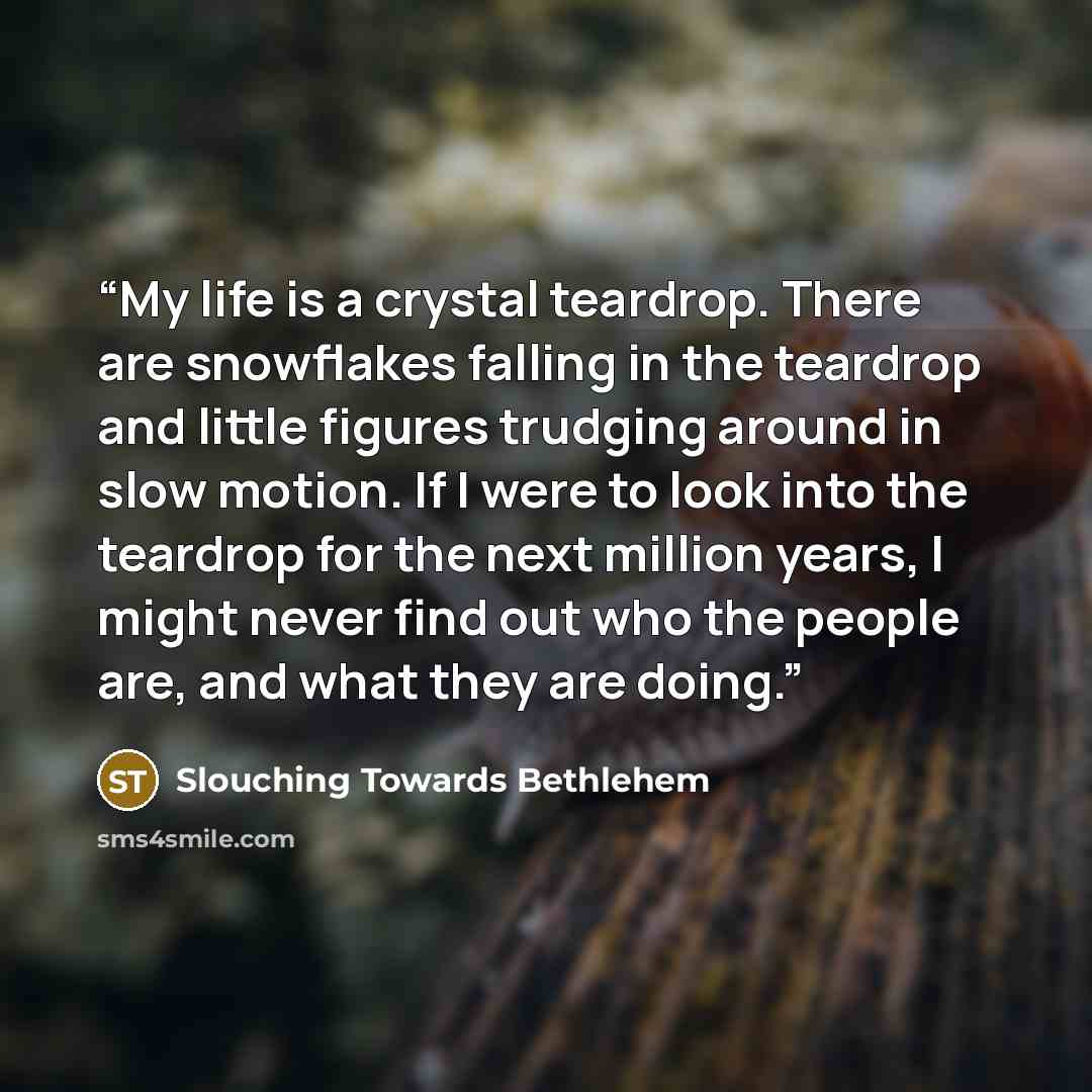 “My life is a crystal teardrop. There are snowflakes falling in the teardrop and little figures trudging around in slow motion. If I were to look into the teardrop for the next million years, I might never find out who the people are, and what they are doing.” quote by Slouching Towards Bethlehem