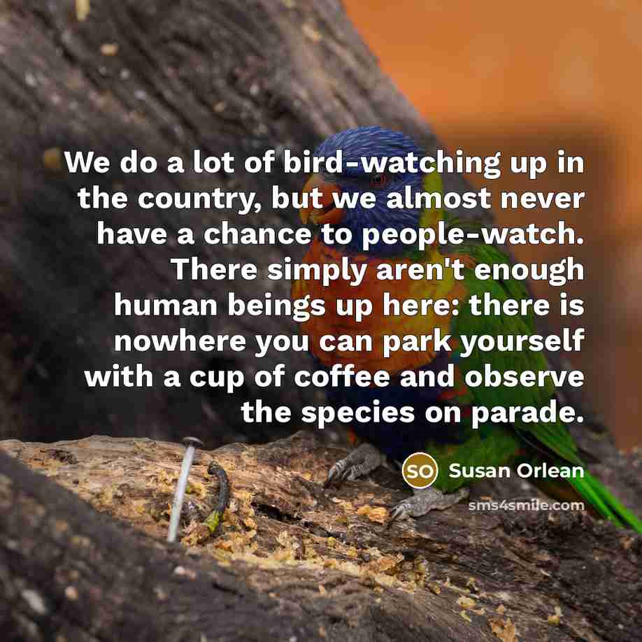 “We do a lot of bird-watching up in the country,…” quote by Susan Orlean