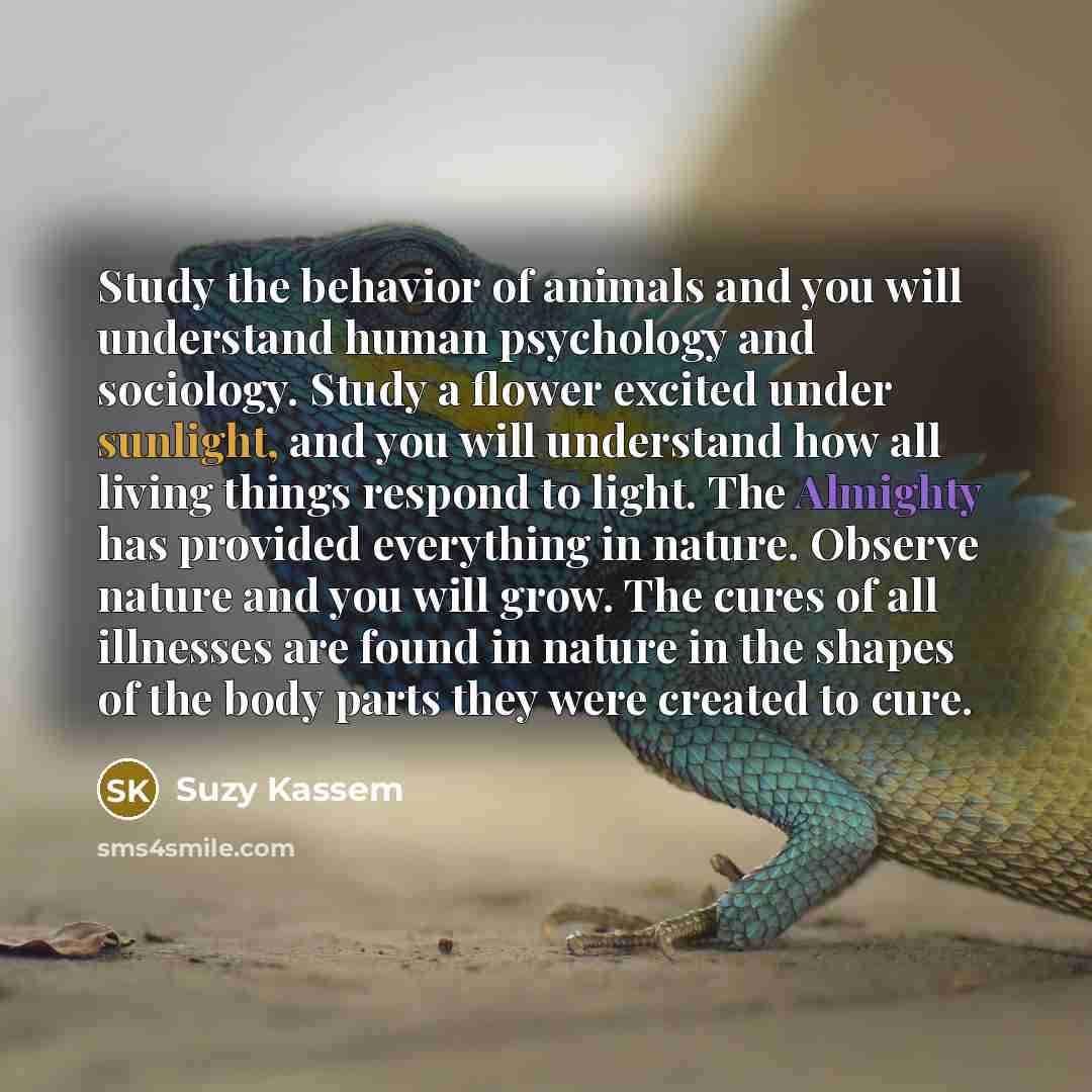 “Study the behavior of animals and you will understand human…” quote by Suzy Kassem