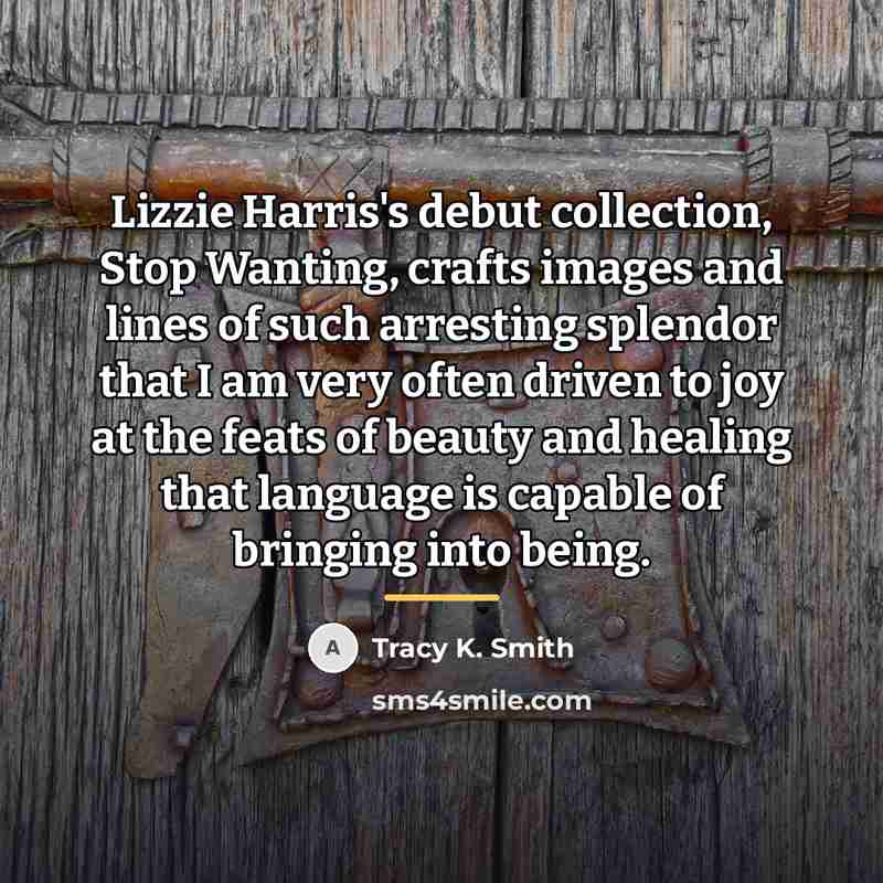 “Lizzie Harris's debut collection, Stop Wanting, crafts images and lines…” quote by Tracy K. Smith