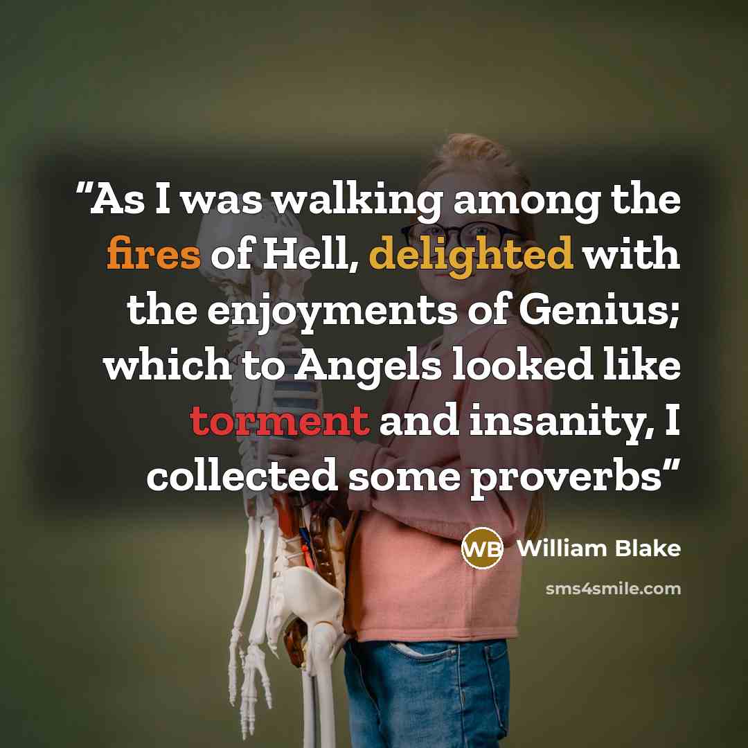 “As I was walking among the fires of Hell, delighted with the enjoyments of Genius; which to Angels looked like torment and insanity, I collected some proverbs” quote by William Blake