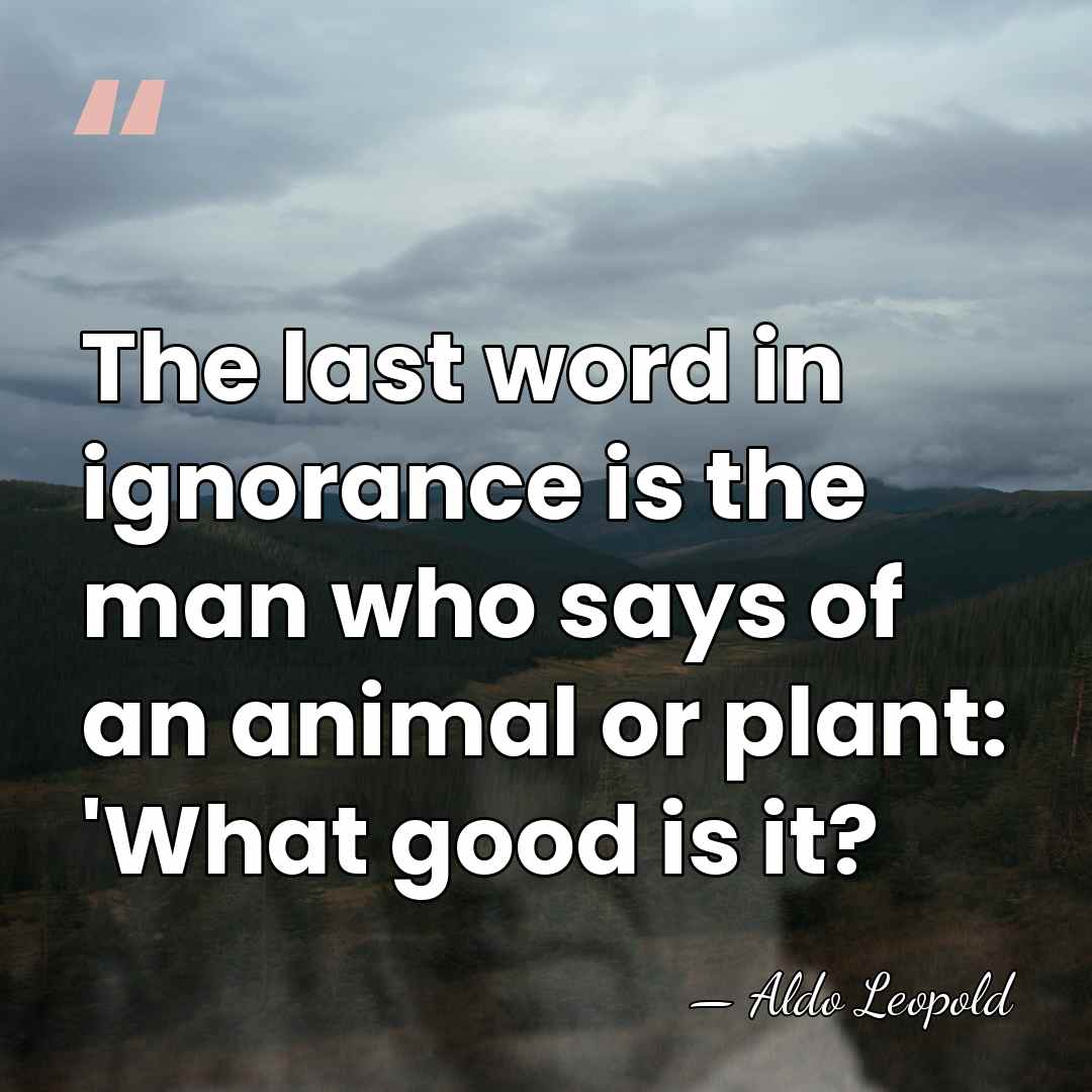 The last word in ignorance is the man who says of an&hellip; - Aldo Leopold