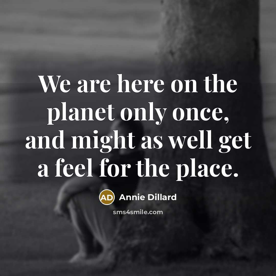 “We are here on the planet only once, and might…” quote by Annie Dillard