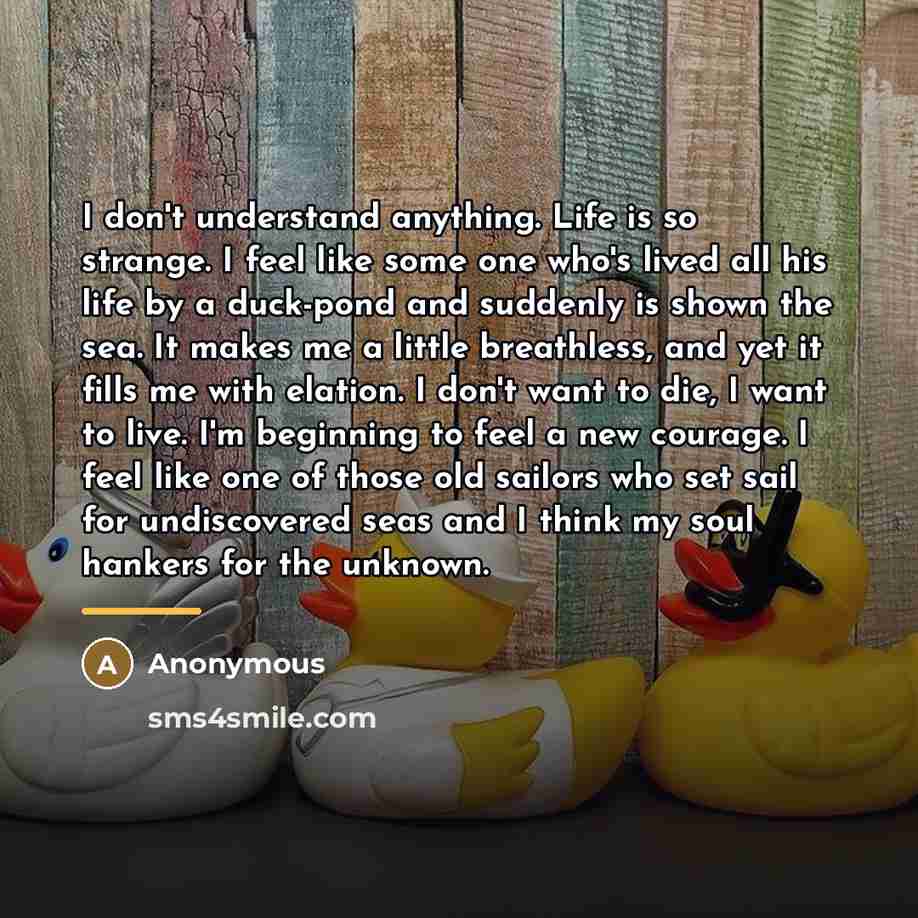 “I don't understand anything. Life is so strange. I feel…” quote by Anonymous