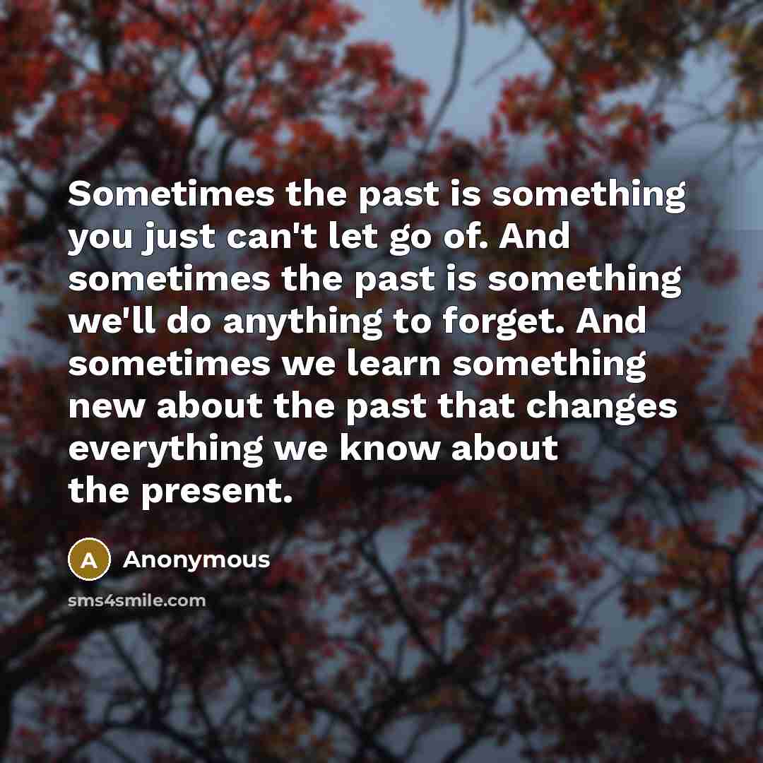 “Sometimes the past is something you just can't let go of. And sometimes the past is something we'll do anything to forget. And sometimes we learn something new about the past that changes everything we know about the present.” quote by Anonymous