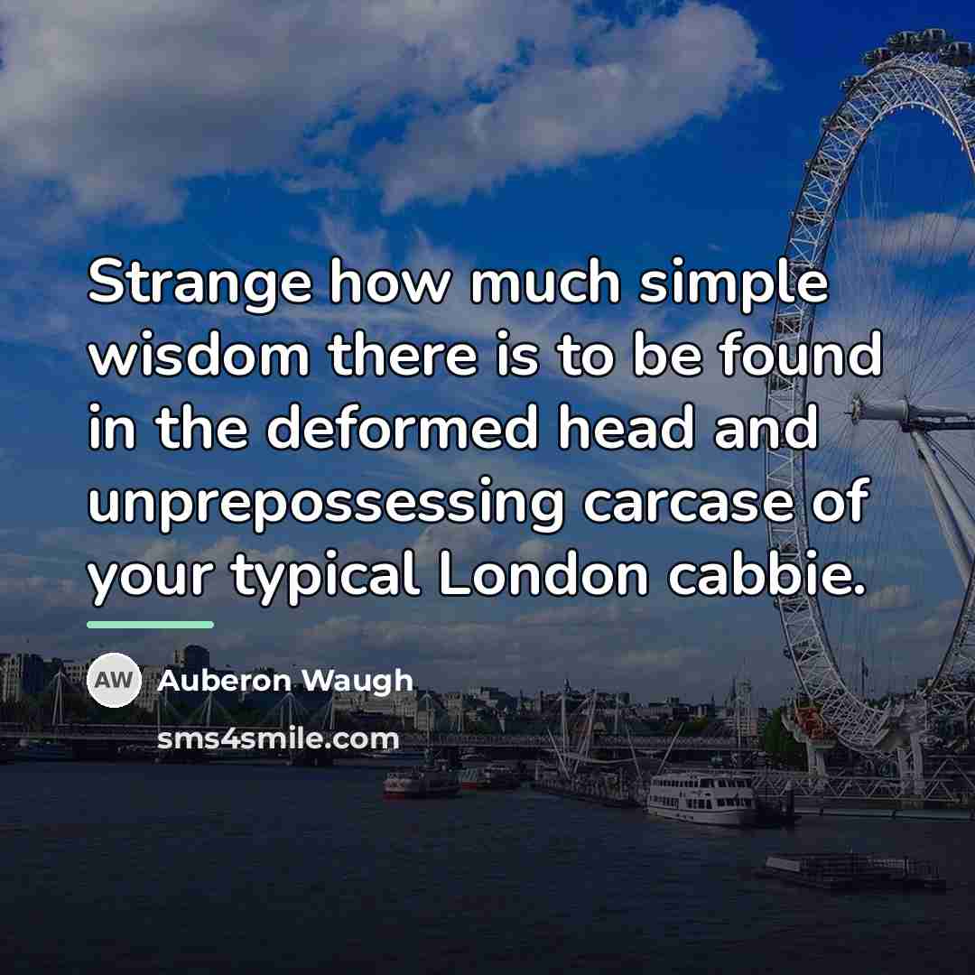 “Strange how much simple wisdom there is to be found…” quote by Auberon Waugh