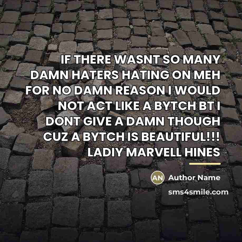 “IF THERE WASNT SO MANY DAMN HATERS HATING ON MEH…” quote by Author Name
