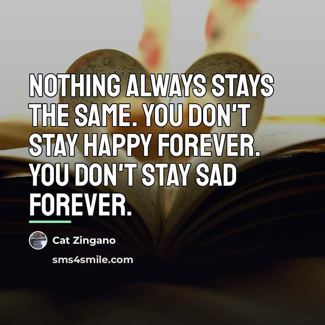 “Nothing always stays the same. You don't stay happy forever.…” quote by Cat Zingano