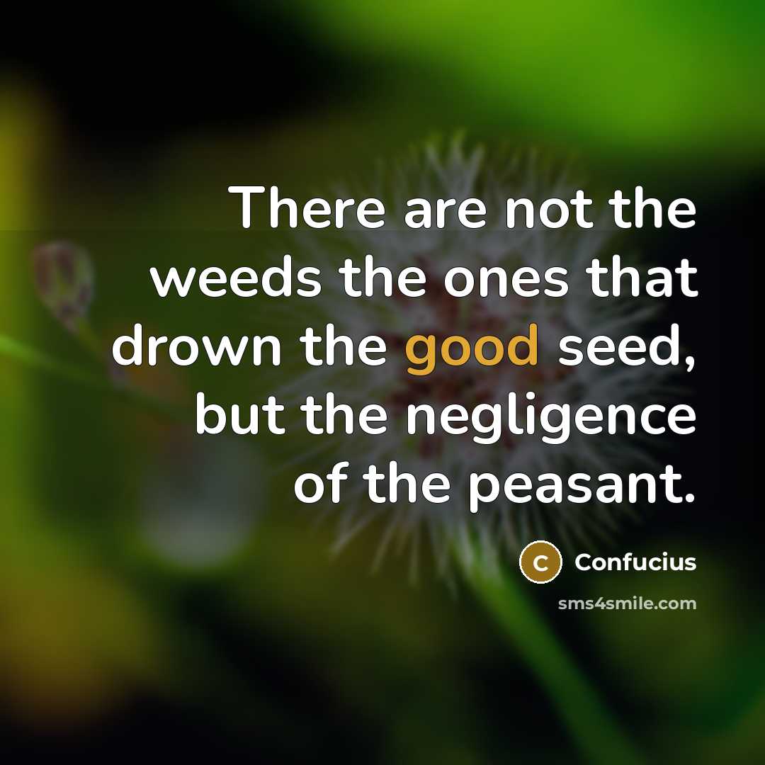 “There are not the weeds the ones that drown the good seed, but the negligence of the peasant.” quote by Confucius