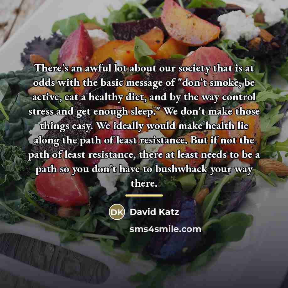 “There's an awful lot about our society that is at…” quote by David Katz