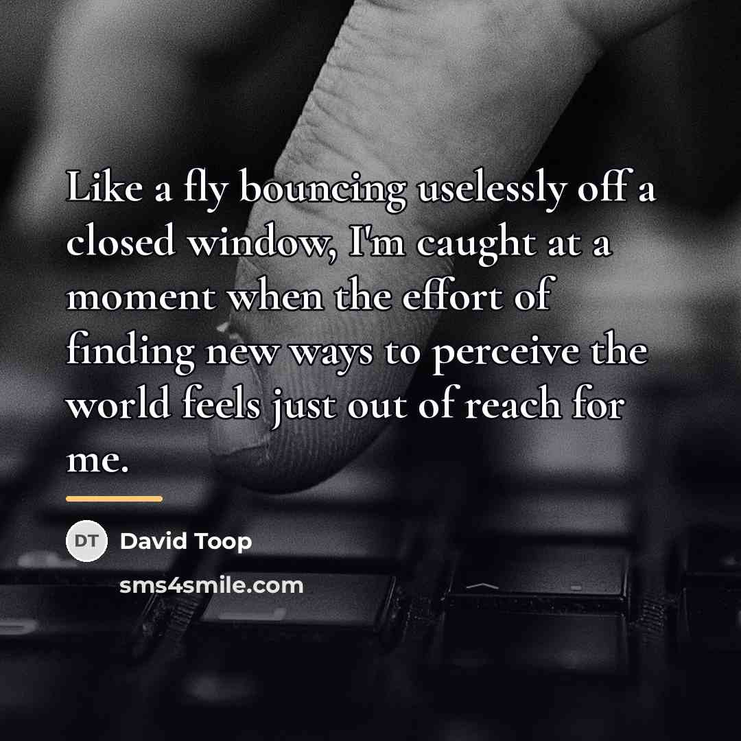 “Like a fly bouncing uselessly off a closed window, I'm…” quote by David Toop