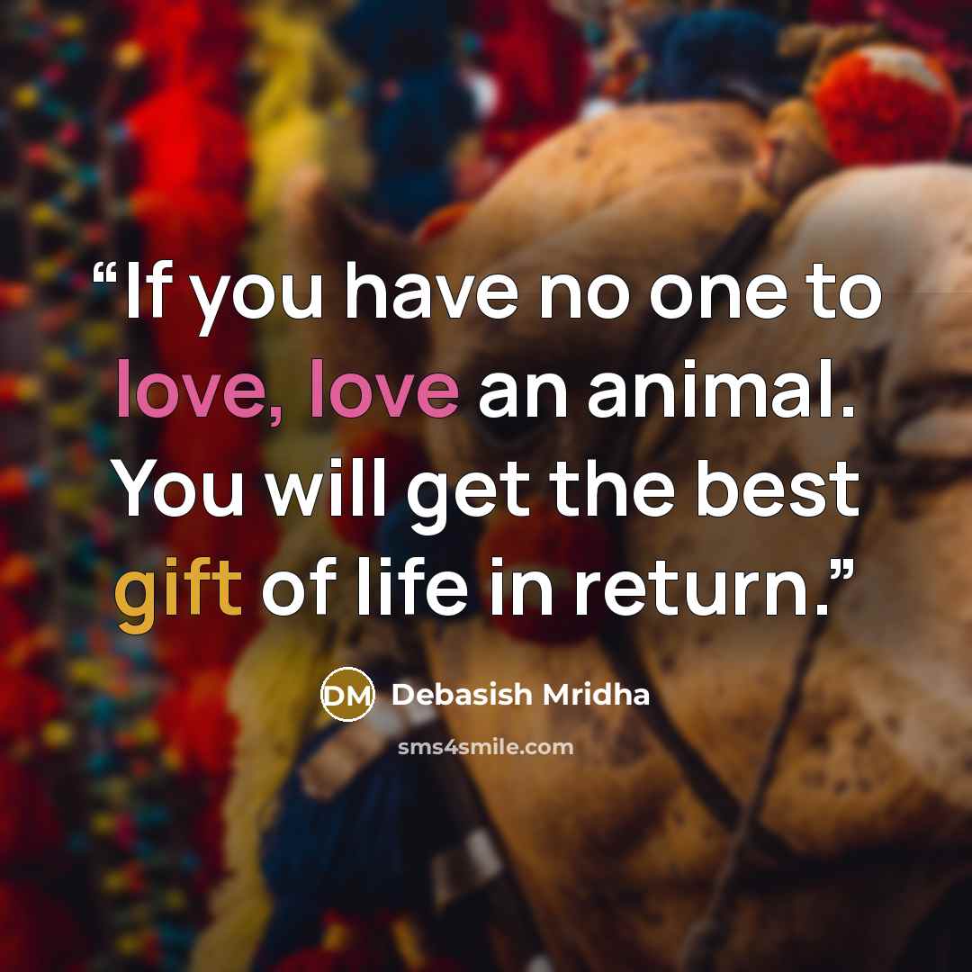 “If you have no one to love, love an animal. You will get the best gift of life in return.” quote by Debasish Mridha