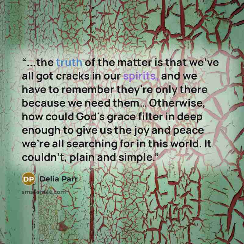 “...the truth of the matter is that we've all got cracks in our spirits, and we have to remember they're only there because we need them… Otherwise, how could God's grace filter in deep enough to give us the joy and peace we're all searching for in this world. It couldn't, plain and simple.” quote by Delia Parr