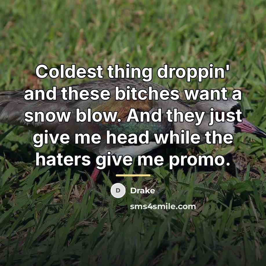 “Coldest thing droppin' and these bitches want a snow blow.…” quote by Drake