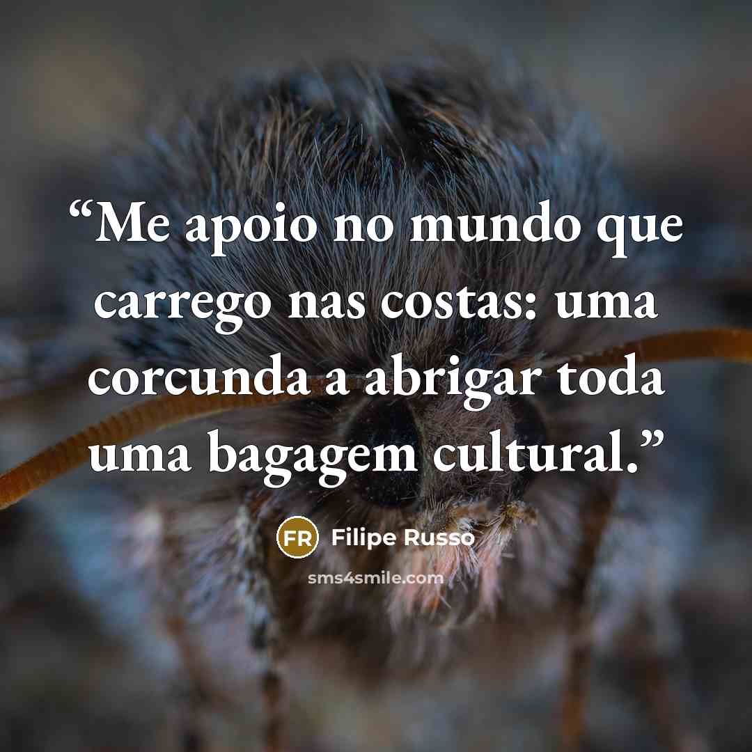 “Me apoio no mundo que carrego nas costas: uma corcunda a abrigar toda uma bagagem cultural.” quote by Filipe Russo