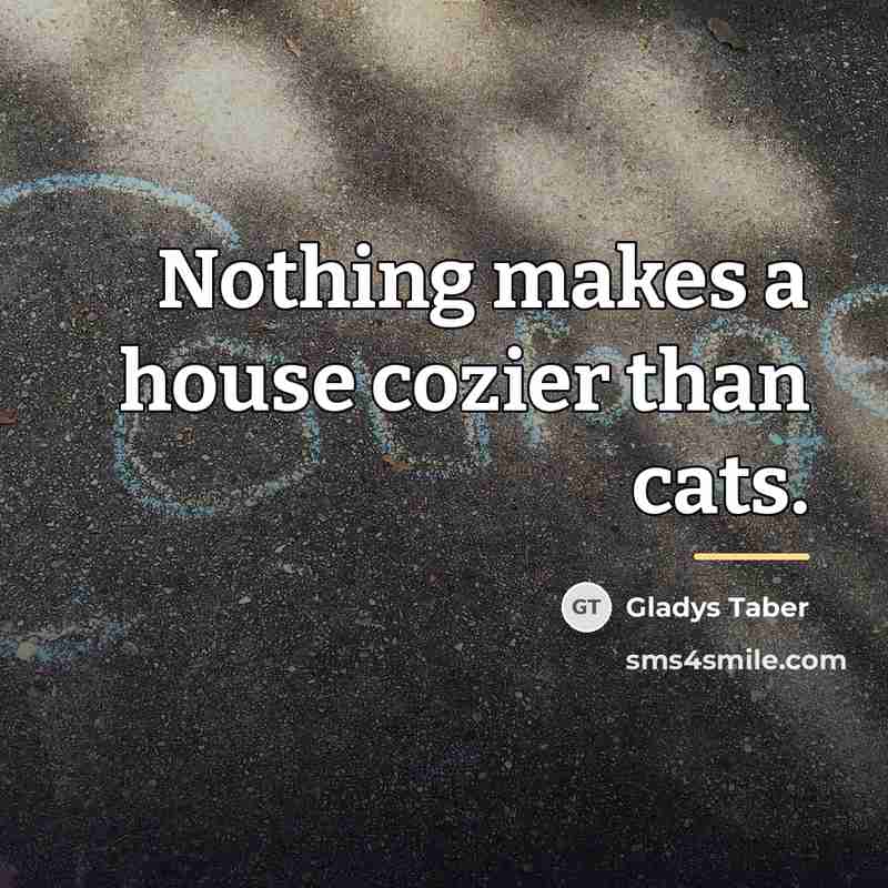 “Nothing makes a house cozier than cats.…” quote by Gladys Taber