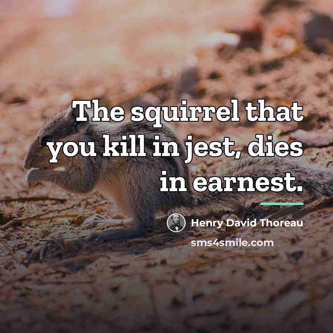 “The squirrel that you kill in jest, dies in earnest.…” quote by Henry David Thoreau