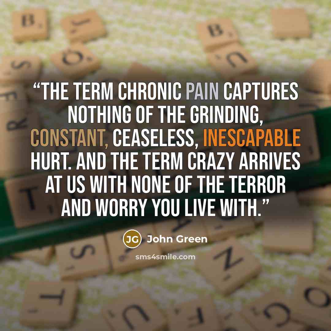 “The term chronic pain captures nothing of the grinding, constant, ceaseless, inescapable hurt. And the term crazy arrives at us with none of the terror and worry you live with.” quote by John Green