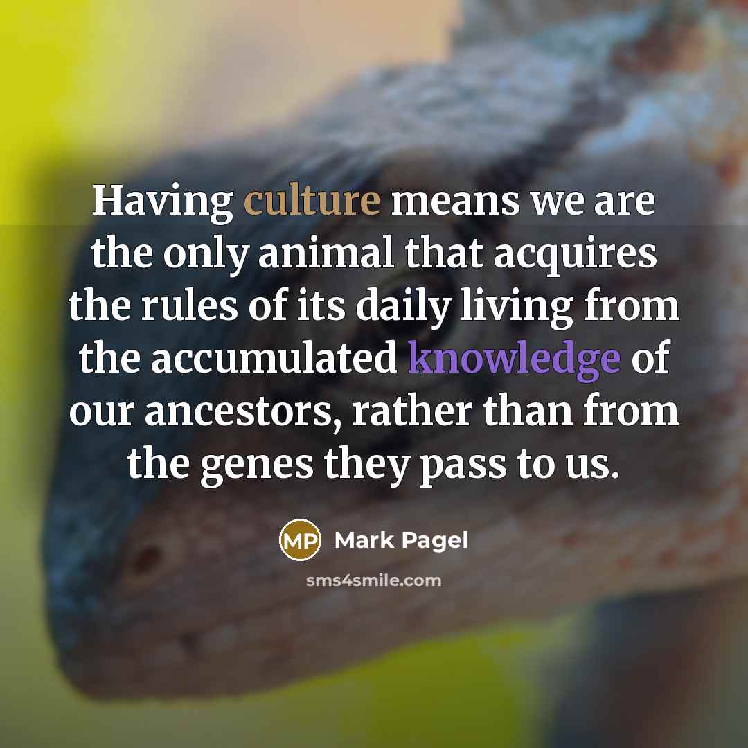“Having culture means we are the only animal that acquires…” quote by Mark Pagel
