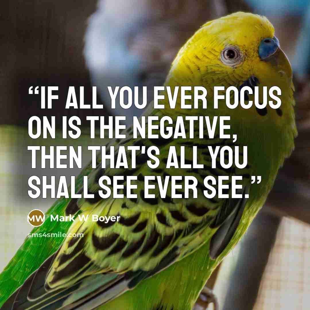“If all you ever focus on is the negative, then that's all you shall see ever see.” quote by Mark W Boyer