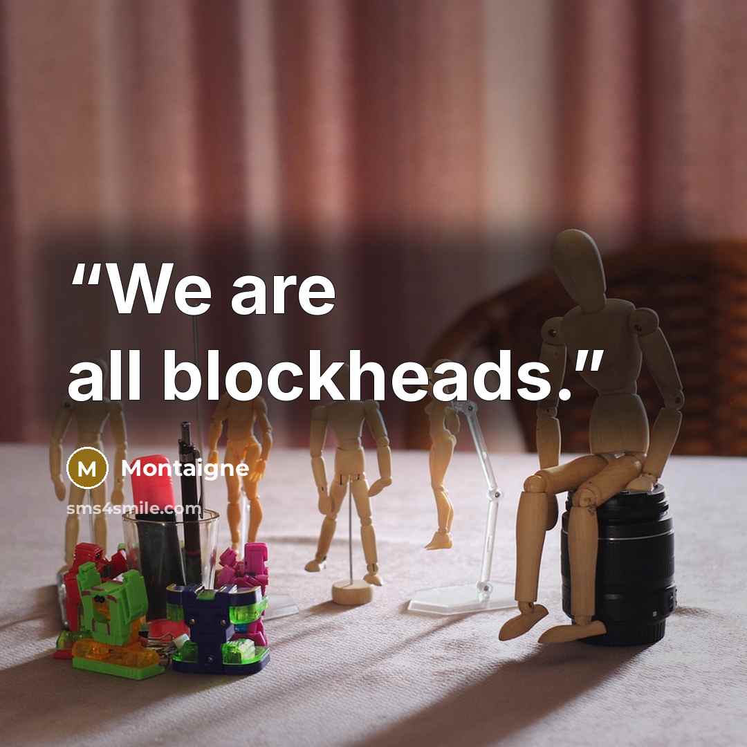 “We are all blockheads.” quote by Montaigne