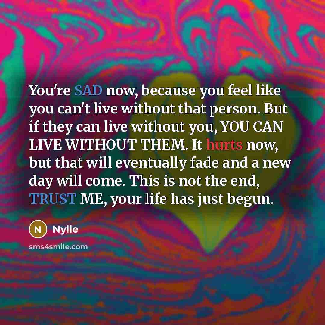 “You're SAD now, because you feel like you can't live without that person. But if they can live without you, YOU CAN LIVE WITHOUT THEM. It hurts now, but that will eventually fade and a new day will come. This is not the end, TRUST ME, your life has just begun.” quote by Nylle