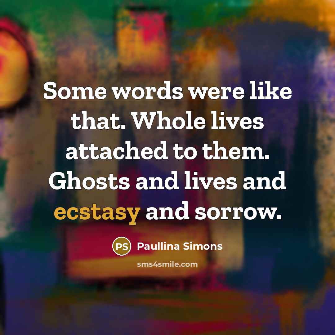 “Some words were like that. Whole lives attached to them.…” quote by Paullina Simons