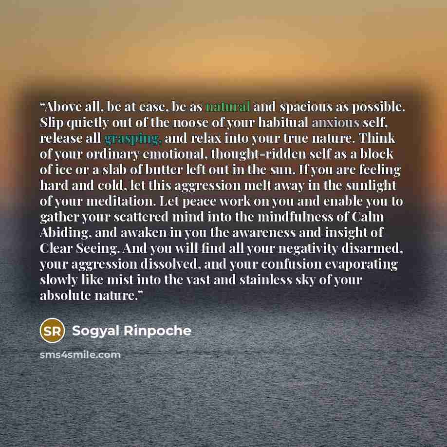 “Above all, be at ease, be as natural and spacious as possible. Slip quietly out of the noose of your habitual anxious self, release all grasping, and relax into your true nature. Think of your ordinary emotional, thought-ridden self as a block of ice or a slab of butter left out in the sun. If you…” quote by Sogyal Rinpoche