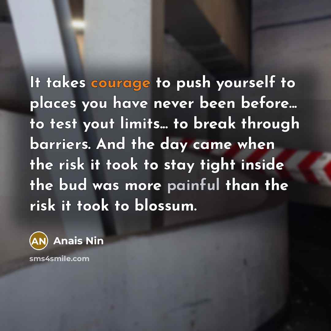 “It takes courage to push yourself to places you have…” quote by Anais Nin