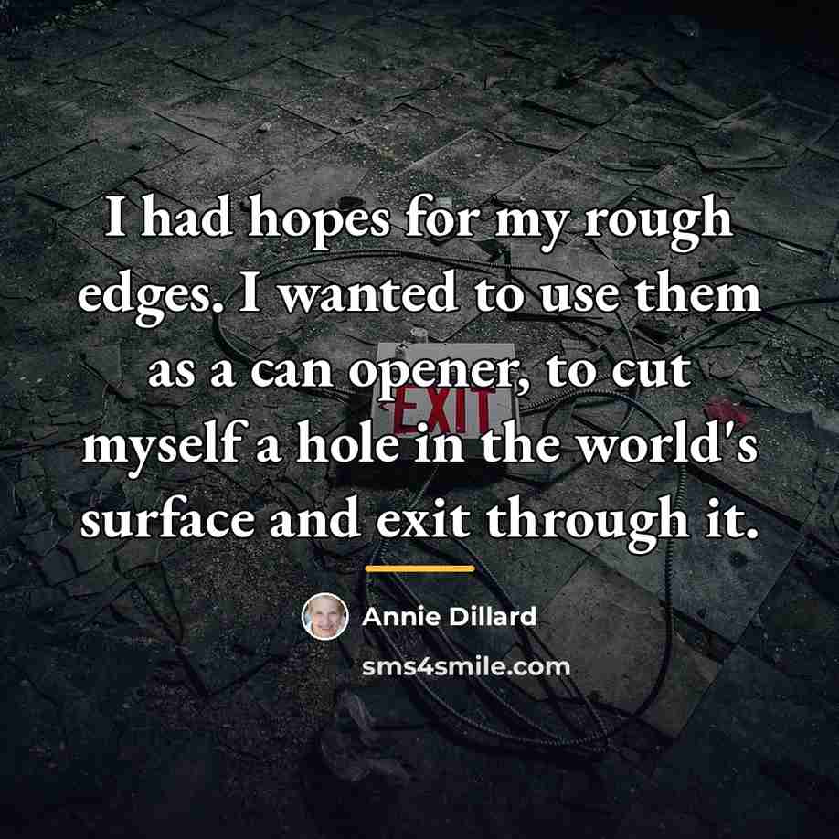“I had hopes for my rough edges. I wanted to…” quote by Annie Dillard