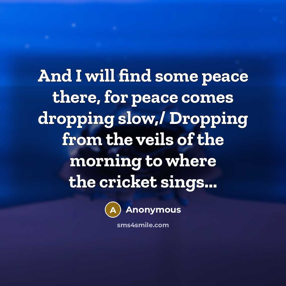 “And I will find some peace there, for peace comes…” quote by Anonymous