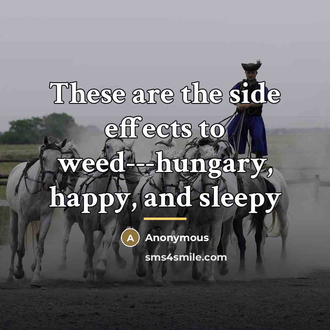 “These are the side effects to weed---hungary, happy, and sleepy…” quote by Anonymous