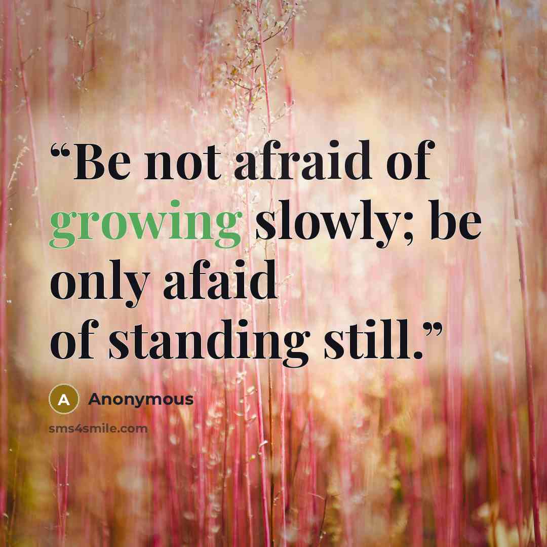 “Be not afraid of growing slowly; be only afaid of standing still.” quote by Anonymous