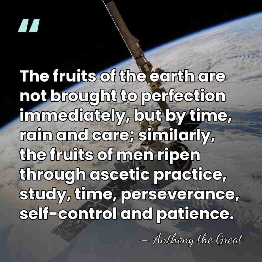 The fruits of the earth are not brought to perfection immediately, but&hellip; - Anthony the Great