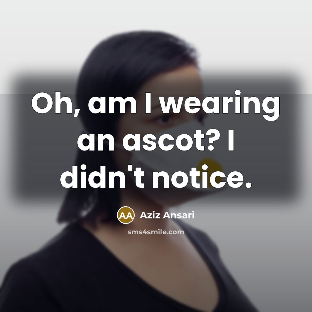 “Oh, am I wearing an ascot? I didn't notice.” quote by Aziz Ansari