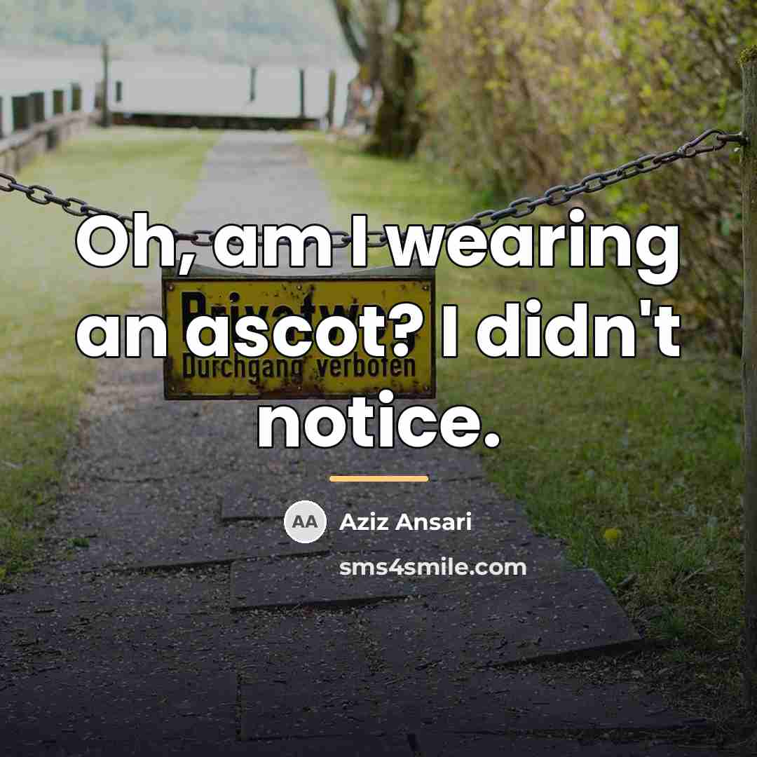 “Oh, am I wearing an ascot? I didn't notice.…” quote by Aziz Ansari