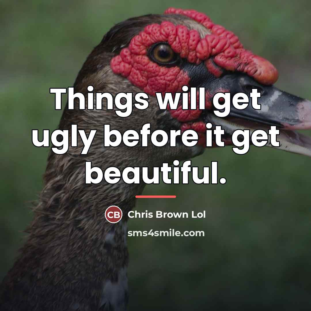 “Things will get ugly before it get beautiful.…” quote by Chris Brown Lol